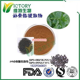 補骨脂提取物價格,西安維特生物科技,補骨脂提取物