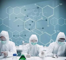 藏元匯股權投融資對接大會優質項目 某生物科技項目