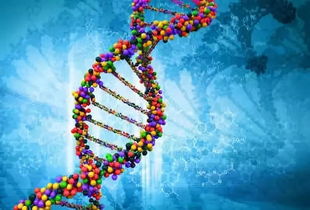 軍事生物科技發(fā)展再提速 美國出臺 合成生物學(xué)時代的生物防御