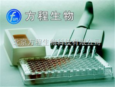 人α半乳糖基抗體(Gal)ELISA檢測試劑盒價格 北京