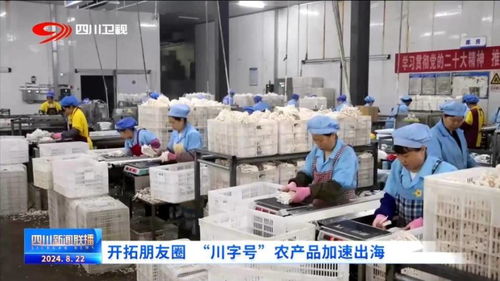開拓朋友圈 川字號 農產品加速出海