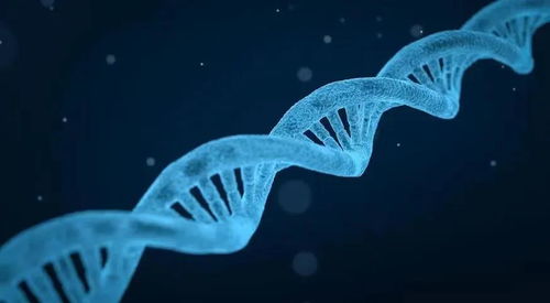 生物計算平臺 百圖生科 獲超億美元融資