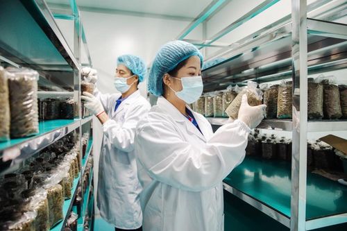 出圈 世界 安吉 茶科技 產品亮相2023博鰲亞洲論壇