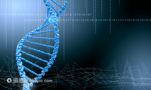 DNA分子高科技DNA分子的生物化學背景