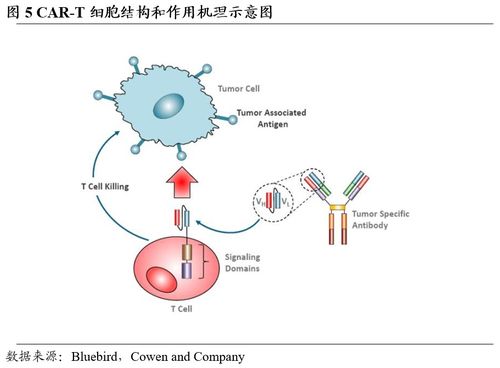 金斯瑞生物科技 賦能邏輯逐步兌現,細胞療法進展順利