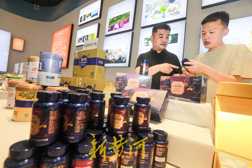 足跡 大河奔流篇 一朵菏澤牡丹花的 跨界之旅