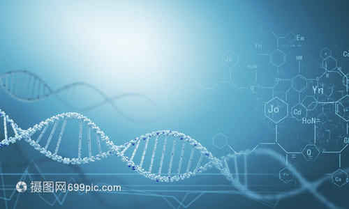 DNA分子高科技DNA分子的生物化學背景